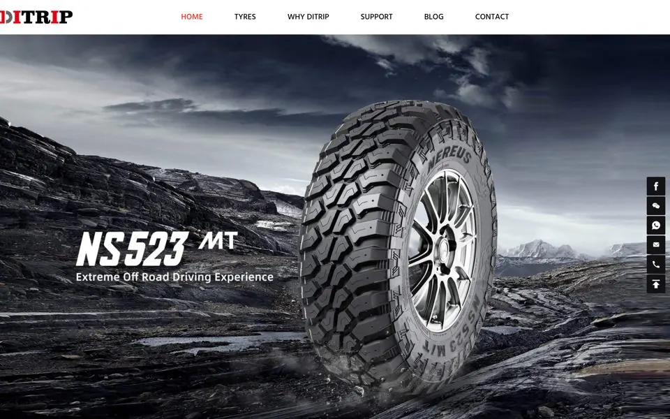 ditriptyre.com网站预览