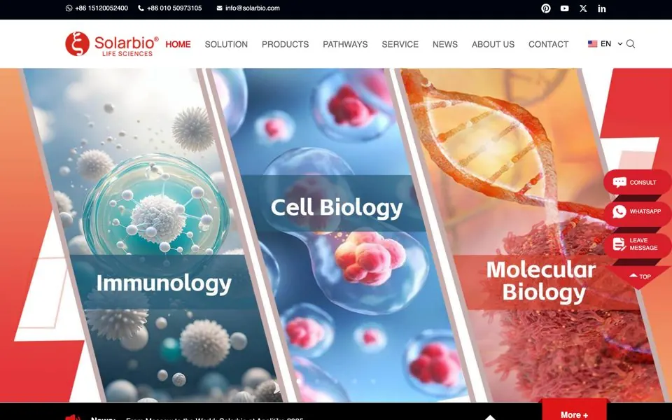 solarbio-global.com网站预览